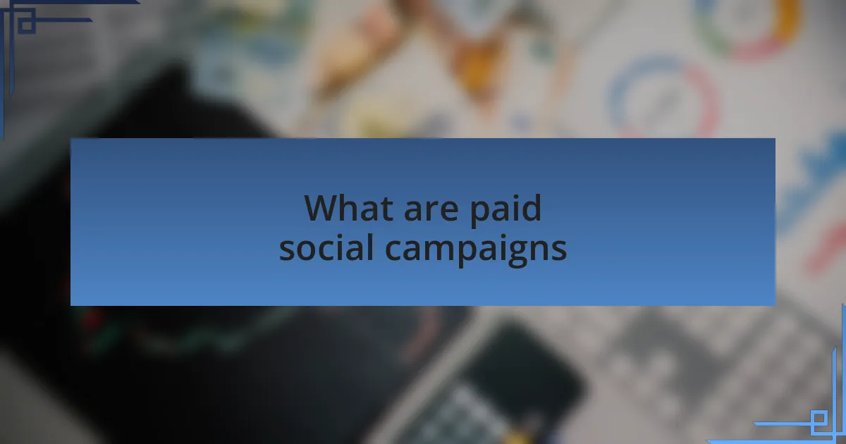 What are paid social campaigns